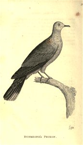 n105_w1150