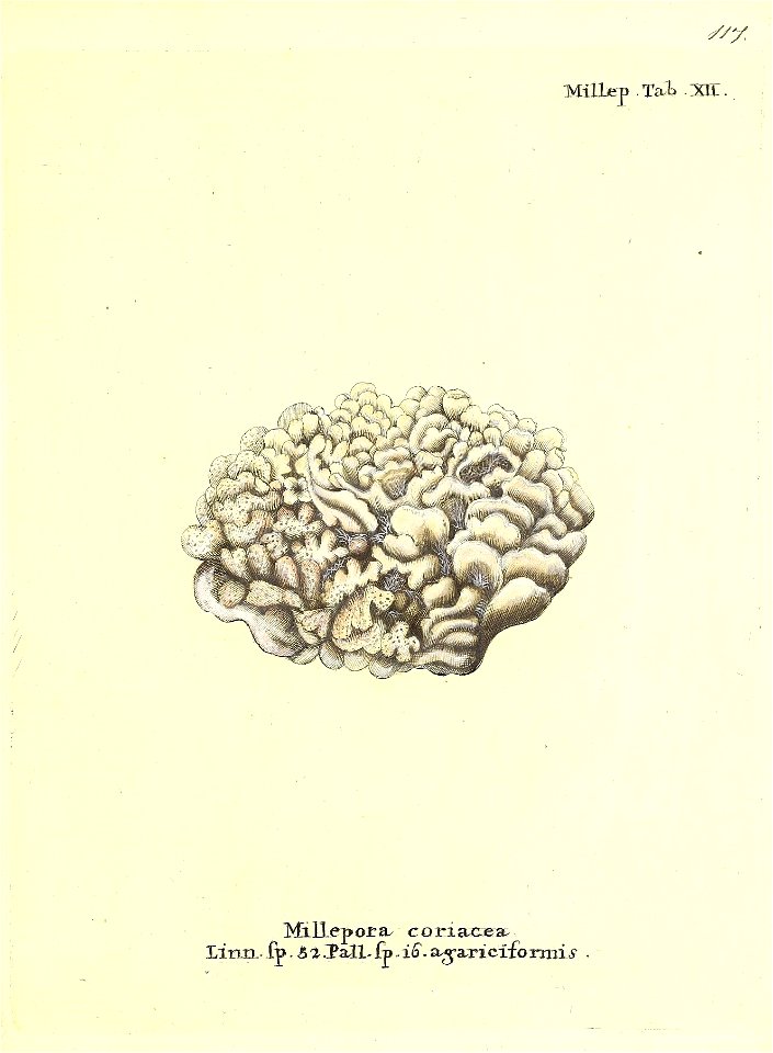 n236_w1150