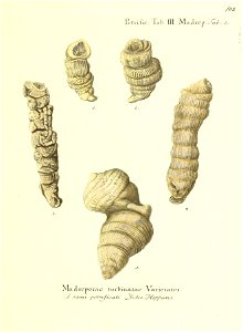 n206_w1150