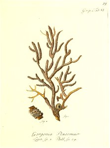 n156_w1150