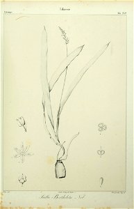 n196_w1150