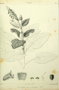 n76_w1150