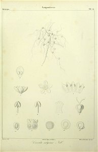 n16_w1150