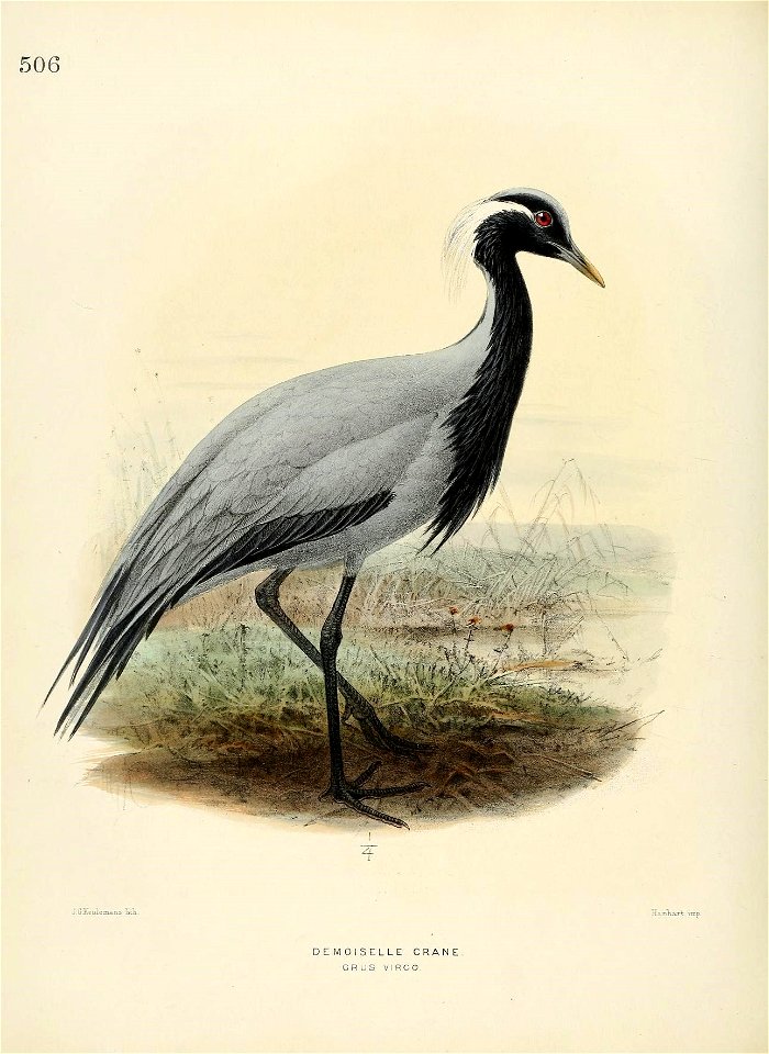 n469_w1150