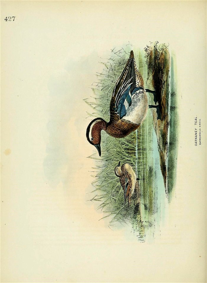 n655_w1150