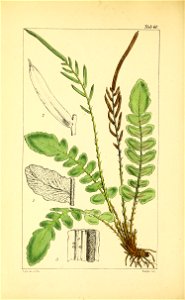 n251_w1150