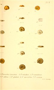 n298_w1150