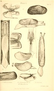 n404_w1150