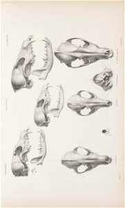 n206_w1150