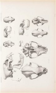 n114_w1150