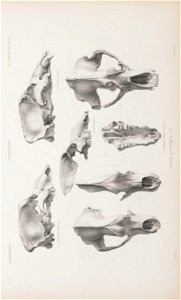 n54_w1150