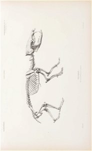n110_w1150