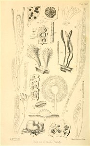 n161_w1150