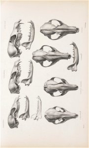 n204_w1150