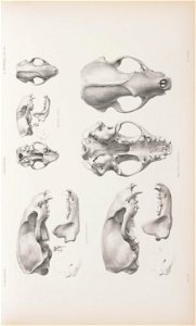 n112_w1150