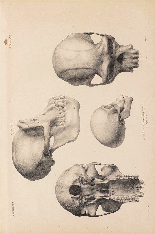 n18_w1150