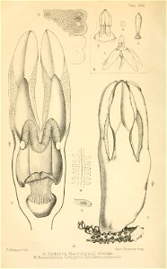n111_w1150