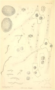 n309_w1150