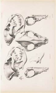n232_w1150