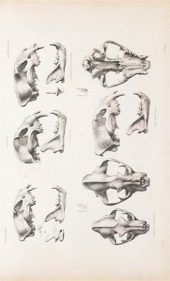 n170_w1150