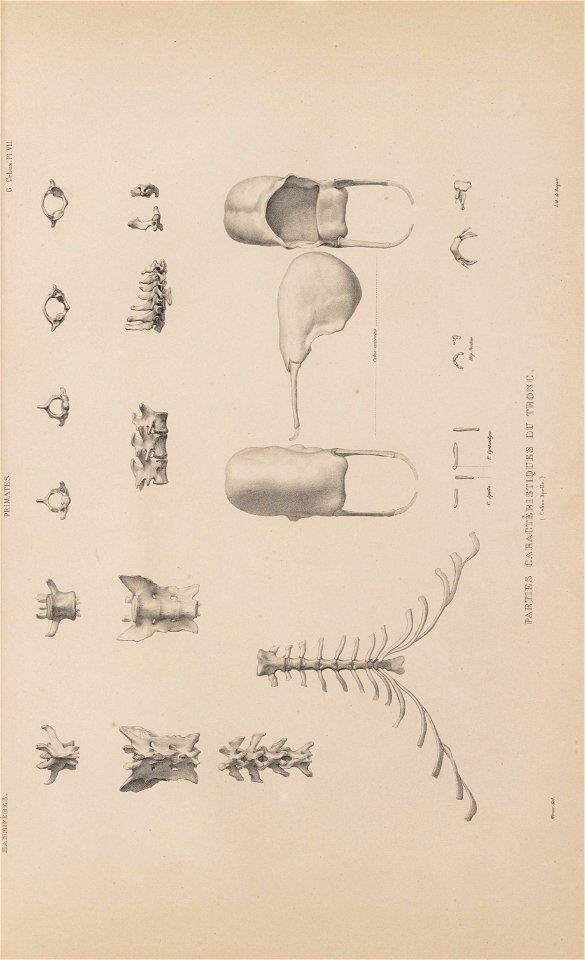 n46_w1150
