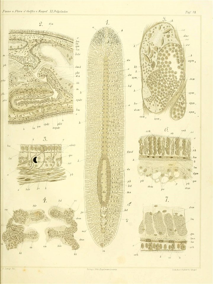 n66_w1150