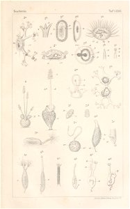 n98_w1150