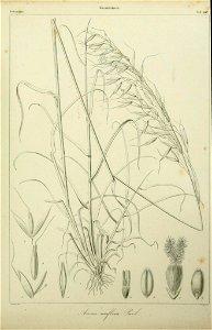 n228_w1150