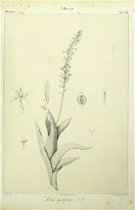 n198_w1150