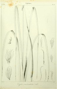n168_w1150