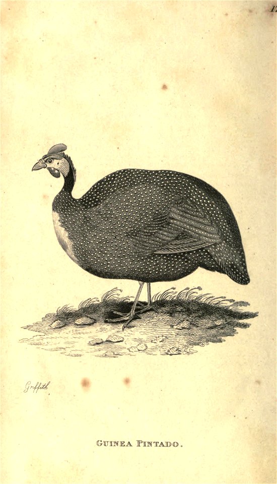 n311_w1150