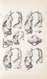 n166_w1150