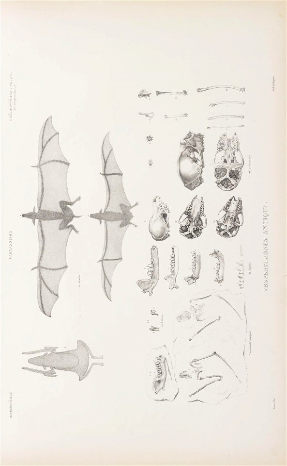n102_w1150