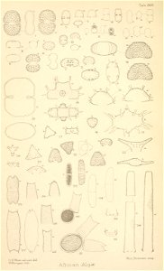 n175_w1150