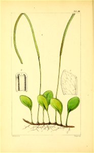 n393_w1150