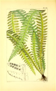 n205_w1150
