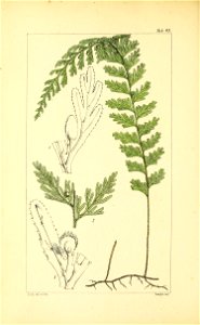 n263_w1150