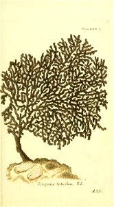 n34_w1150