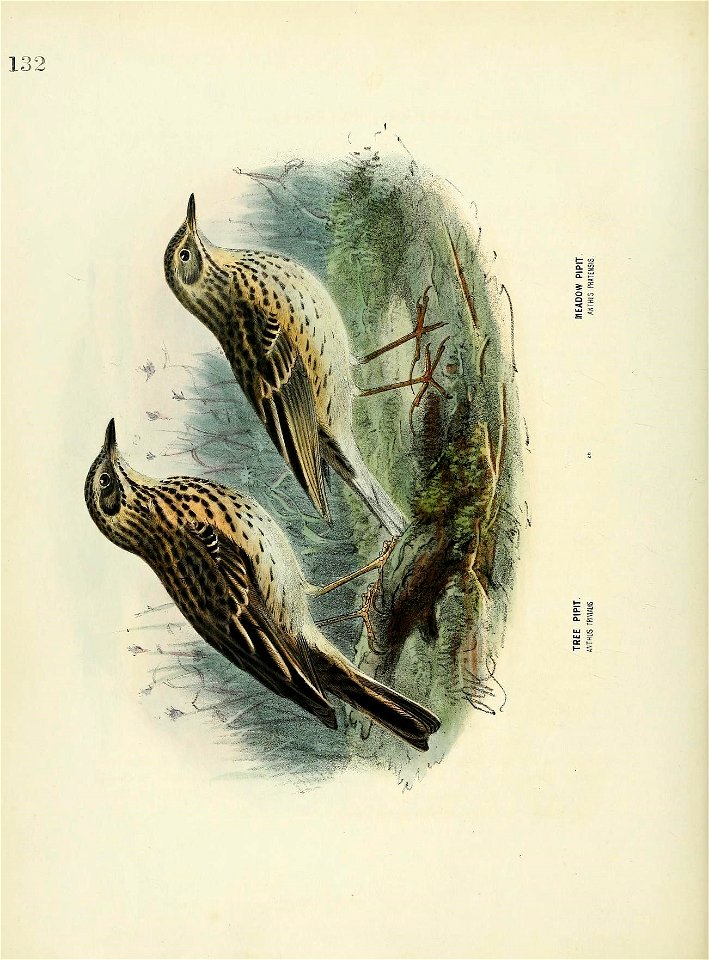 n373_w1150