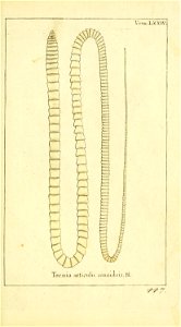 n58_w1150