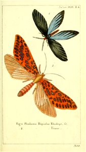 n54_w1150