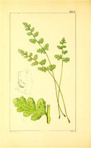 n247_w1150