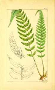 n63_w1150