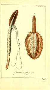 n56_w1150