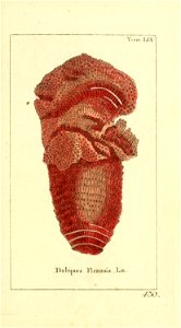 n26_w1150