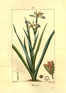 n157_w1150