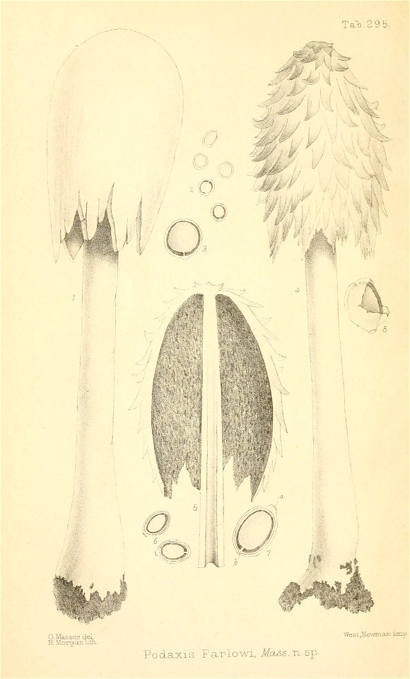 n45_w1150