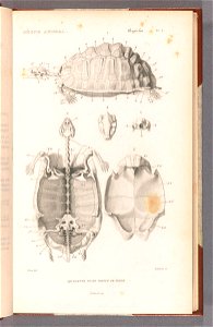 n12_w1150