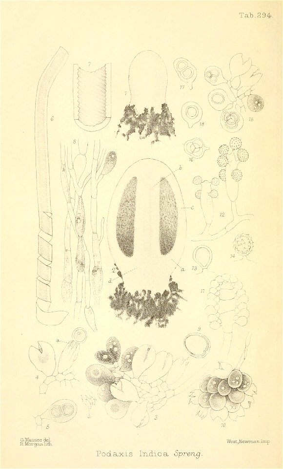 n43_w1150