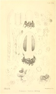 n43_w1150